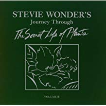 Stevie Wonder - Secret Life of Plants